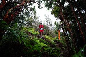 BIB: 
                            <button type="button" onclick="openModal(26203792)" class="btn btn-primary btn-sm float-right btn-popup" data-toggle="modal" data-target=".modal-high-quality">
                        <i class="fas fa-shopping-cart"></i> Add to Cart
                    </button>
                                            <button type="button" onclick="isThisMe(26203792, true)" class="btn btn-success btn-sm float-right btn-popup btn-isme hidden" data-toggle="tooltip" data-placement="bottom" title="นี่คือรูปของคุณใช่ไหม คลิกที่นี่เพื่อเอาเข้าอัลบั้ม">
                        <i class="fas fa-plus"></i> Add to album
                    </button>
                    <button type="button" onclick="isThisMe(26203792, false)" class="btn btn-warning btn-sm float-right btn-popup btn-isnotme hidden">
                        <i class="fas fa-ban"></i> Remove from album
                    </button>